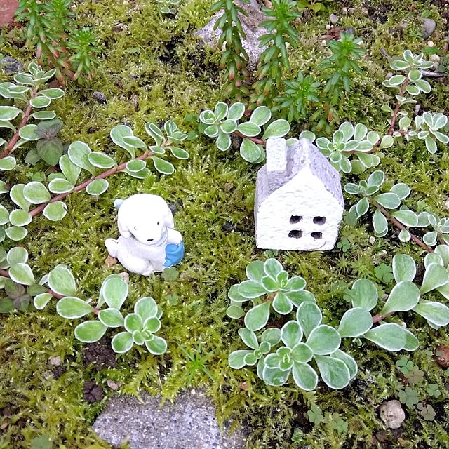 25Moondropsさんの実例写真