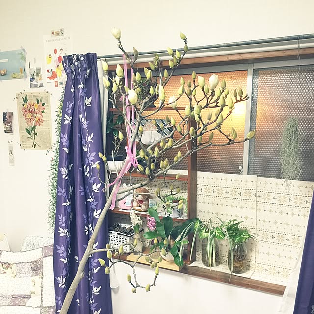 scabiosa1982さんの実例写真
