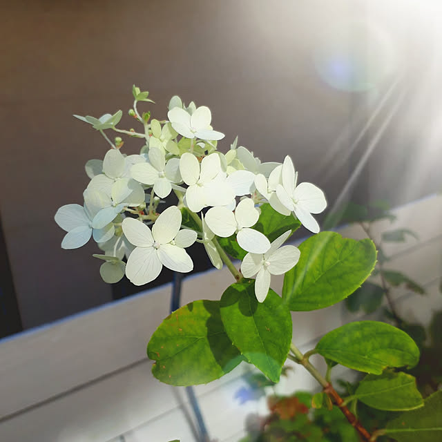min_nimさんの実例写真