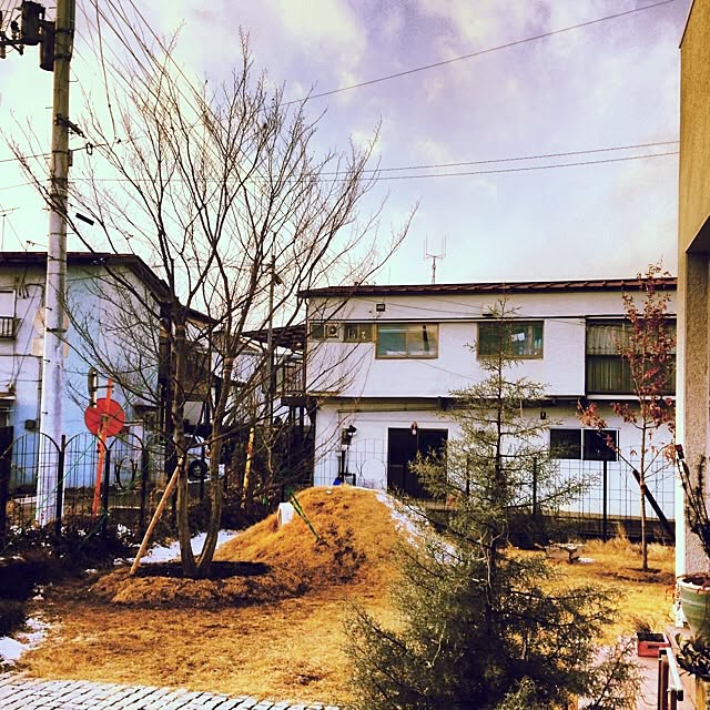 Kazuさんの実例写真