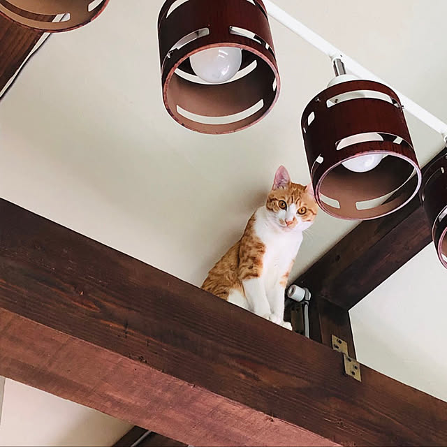 Emiさんの実例写真