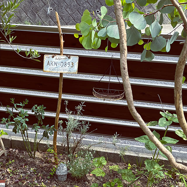 ayayayayaさんの部屋
