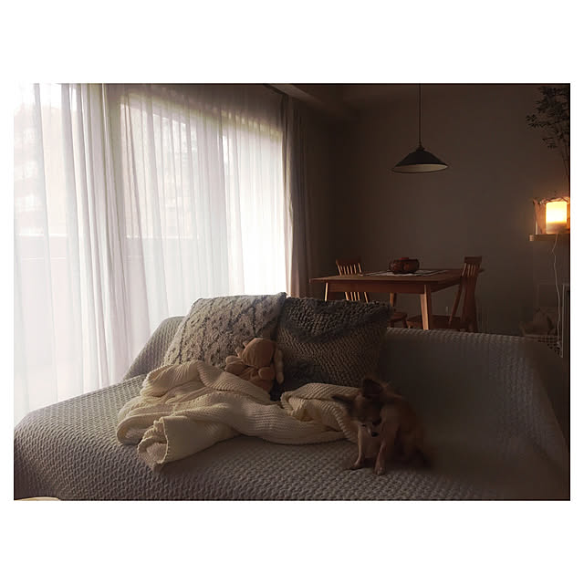 nicopiiiiiさんの実例写真