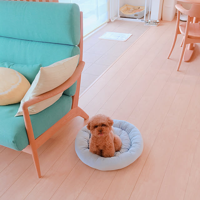 kilala_pさんの実例写真