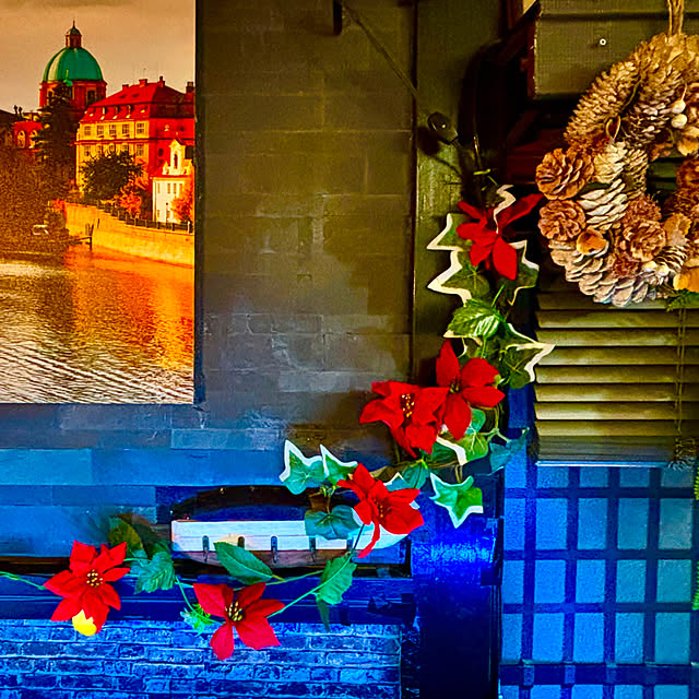 tututu0204さんの部屋