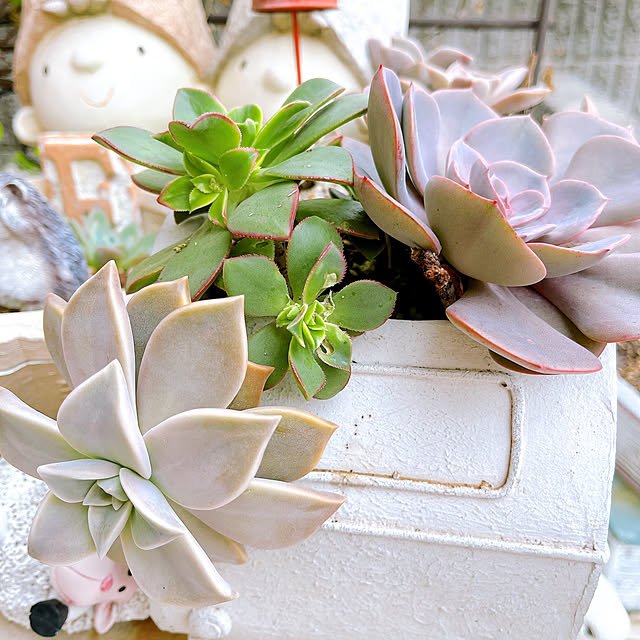 eriharuさんの部屋