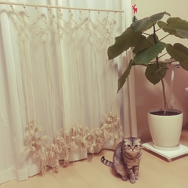 meさんの実例写真