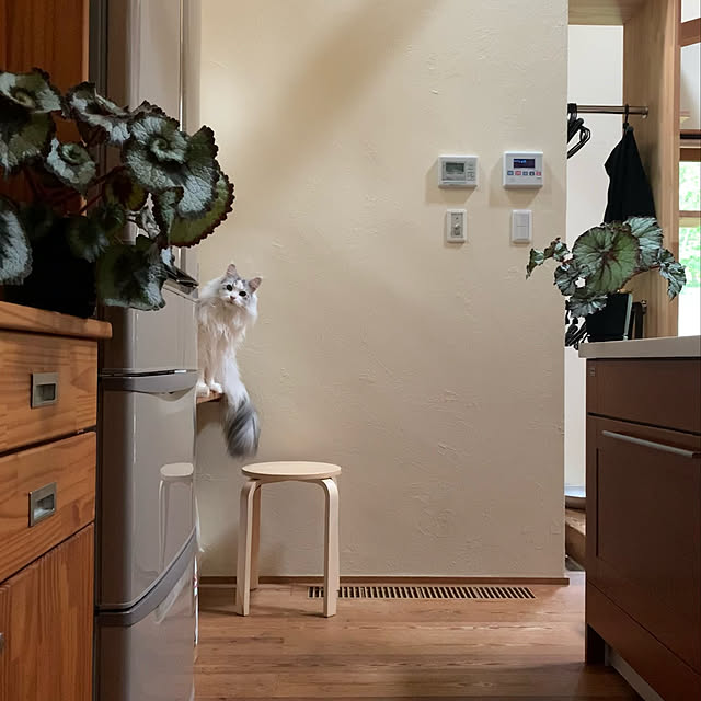 Kikko.さんの実例写真