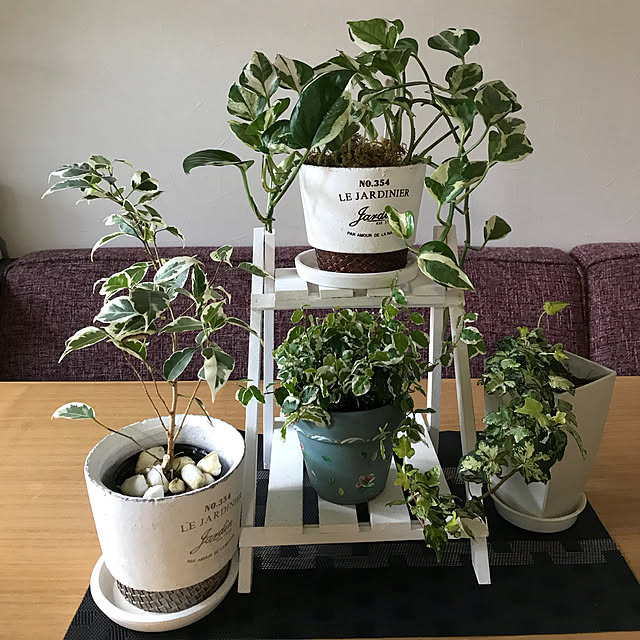 fuuさんの実例写真