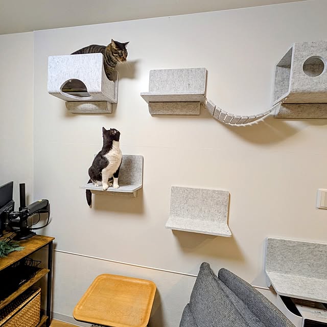 hihaさんの部屋