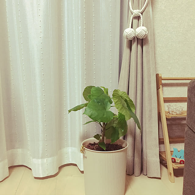 mameyaさんの実例写真