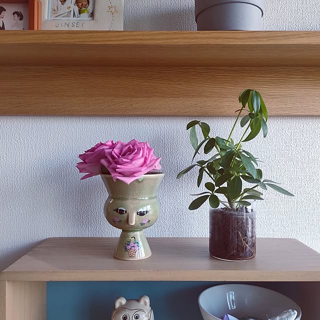 実例写真