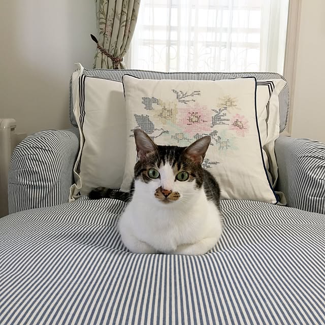 yuchiさんの実例写真