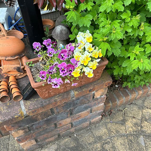 norikorinさんの実例写真