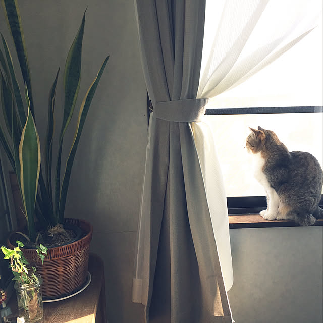 LEOさんの実例写真