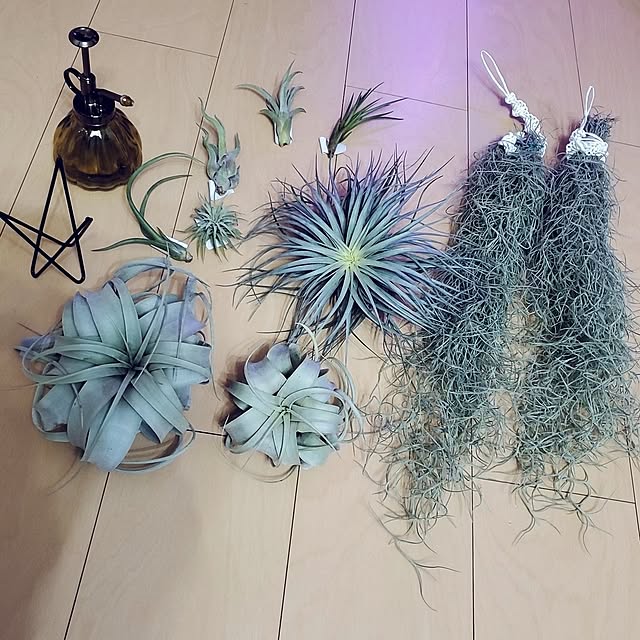 Riokaさんの実例写真