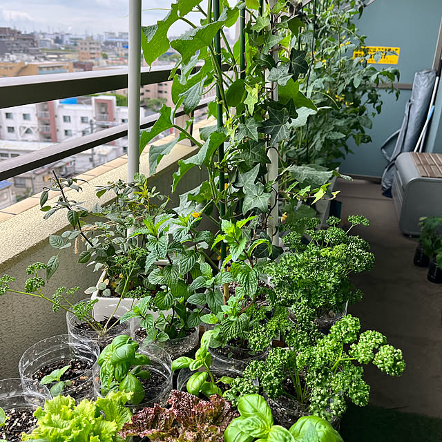 mukitarakoさんの部屋
