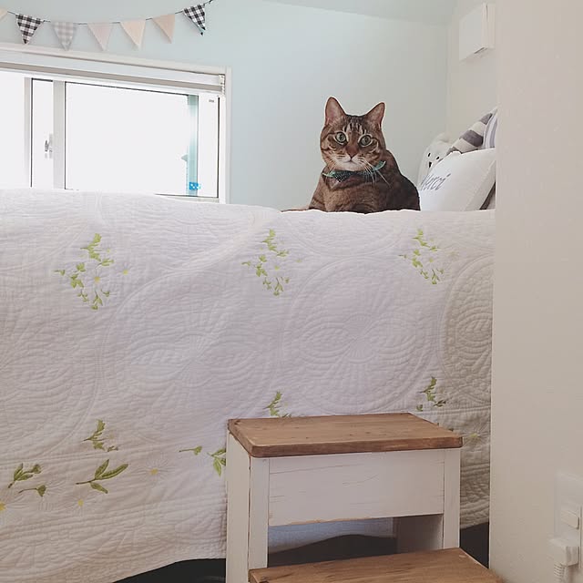 lovecatさんの実例写真