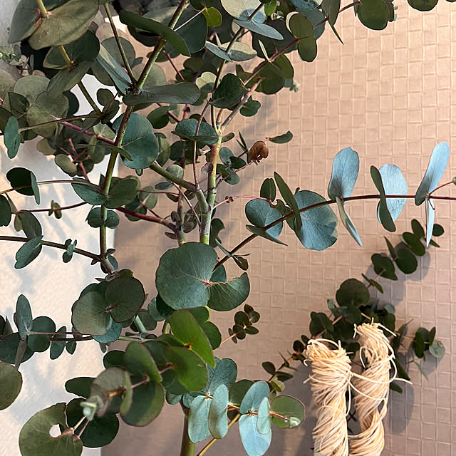 kojimasaさんの部屋