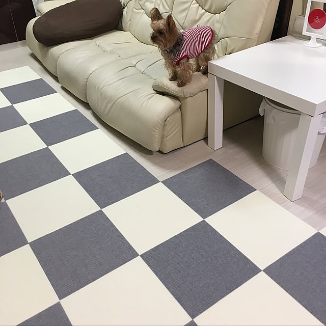 ToshiKoさんの実例写真