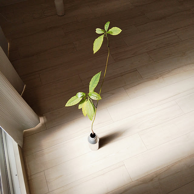 natuさんの部屋