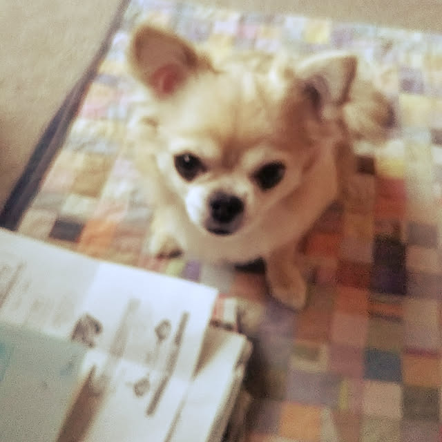 kiraさんの実例写真
