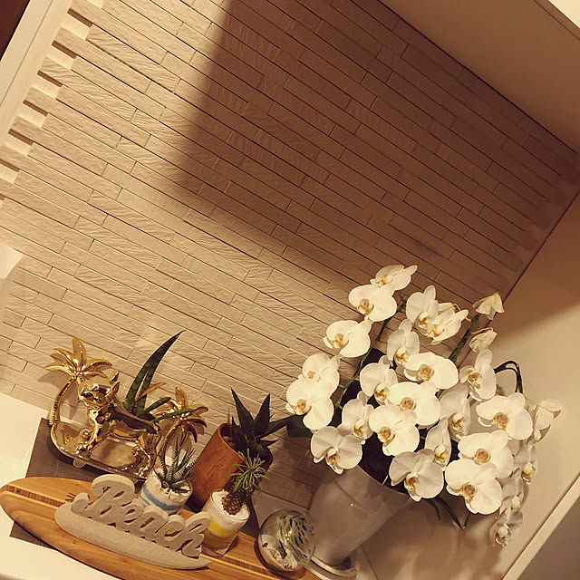 oluolukai0513さんの実例写真