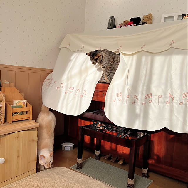 mohhaさんの実例写真