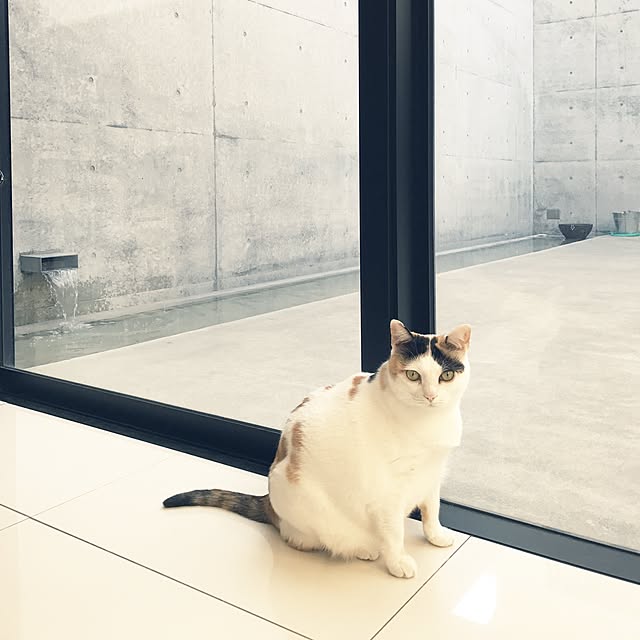 mashさんの実例写真