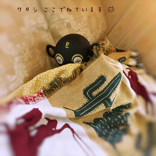 satochanさんの実例写真