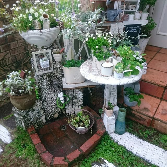 whiteroseさんの実例写真