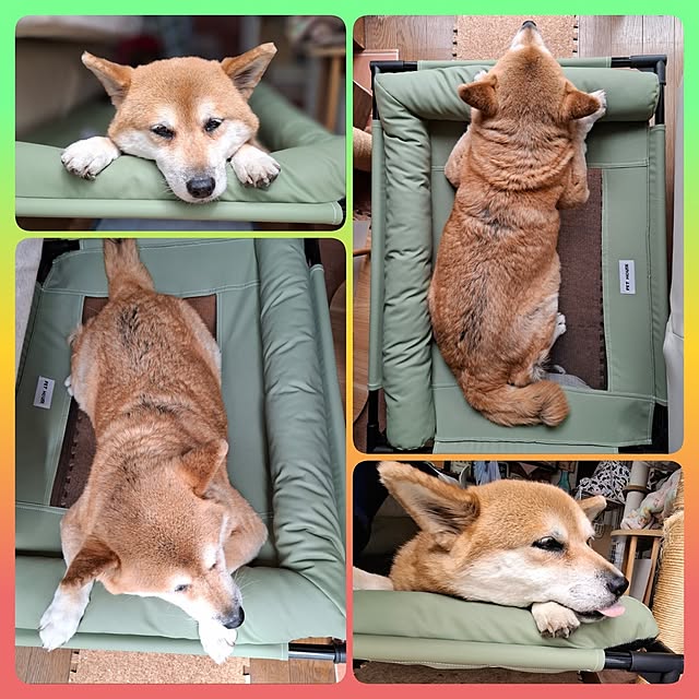 nanaさんの部屋