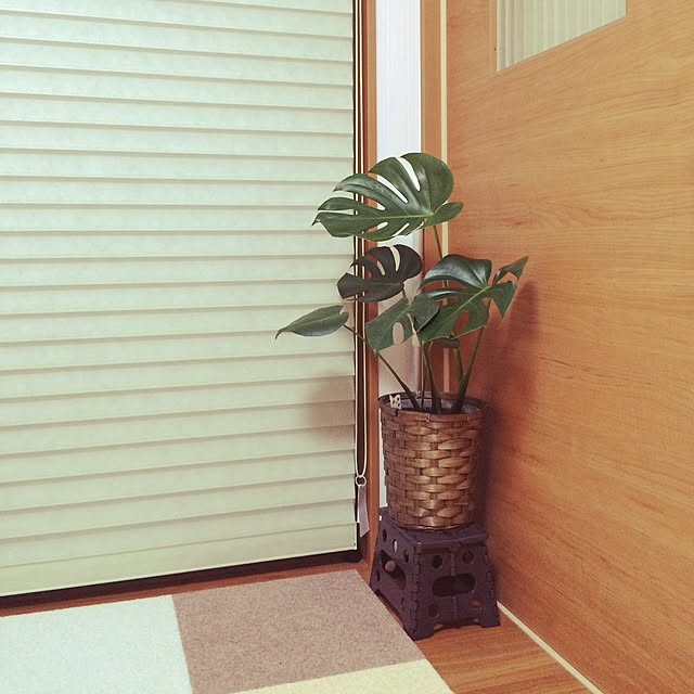 pigletandkatuu1さんの実例写真