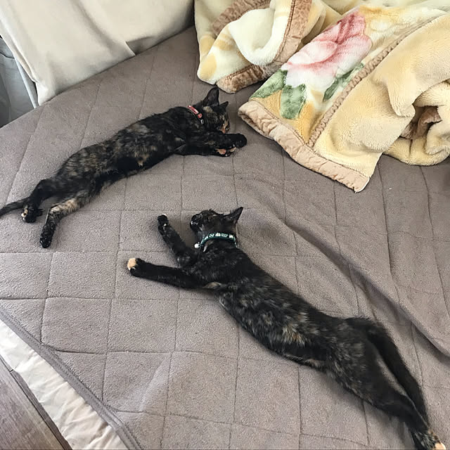mさんの実例写真