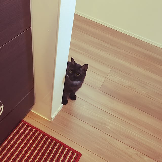 darakoさんの実例写真