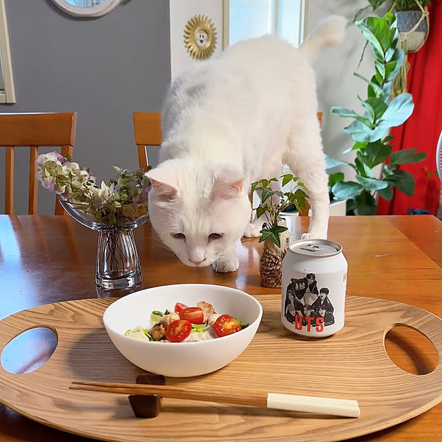 nyanko-beamさんの部屋