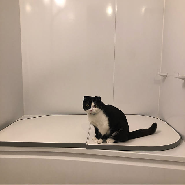 Sennさんの実例写真