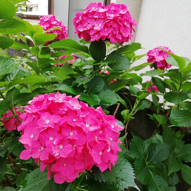 haruiroさんの部屋