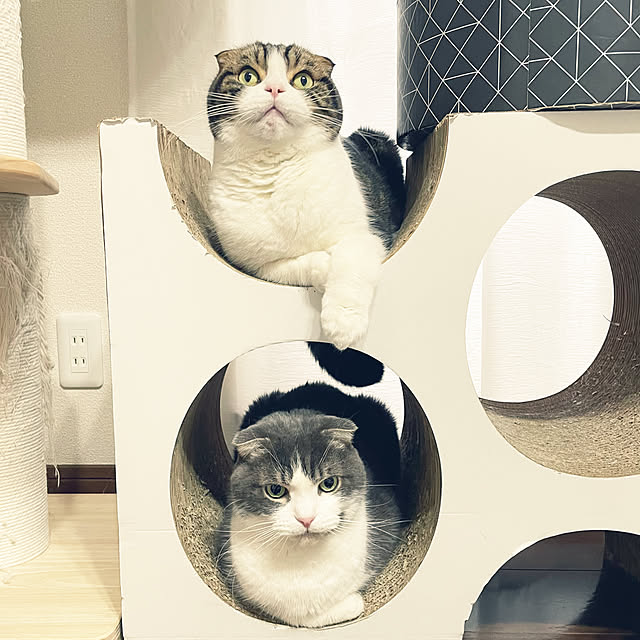tansukeさんの部屋