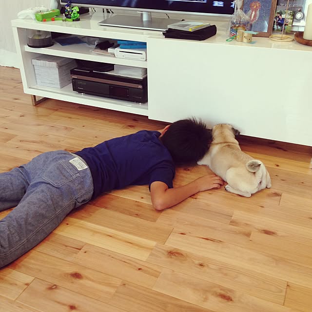 pugtomoさんの実例写真