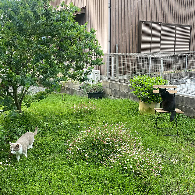 taakoさんの部屋