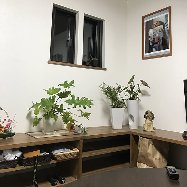 棚/観葉植物/お気に入り犬の絵のインテリア実例 - 2019-01-31 22:09:45