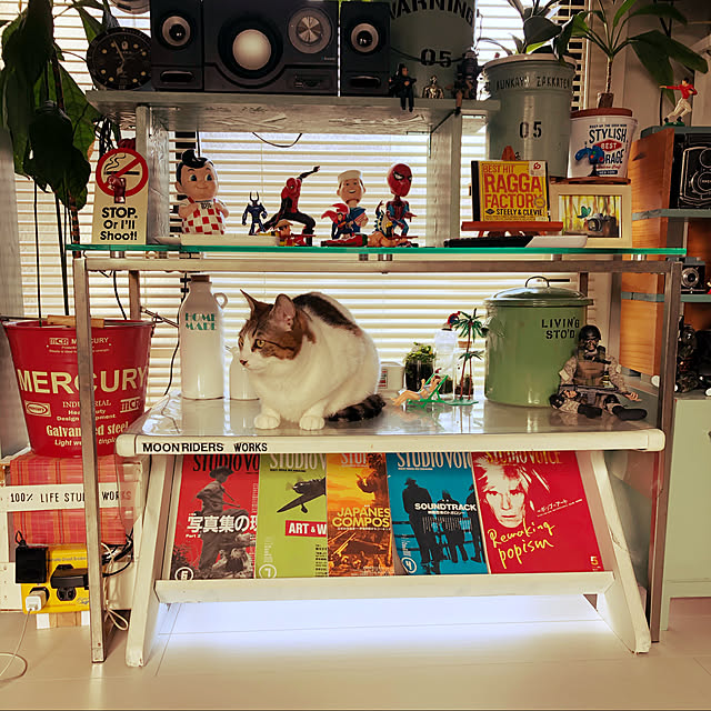 arayanさんの実例写真