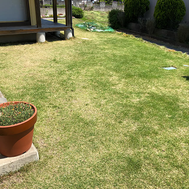 6さんの実例写真
