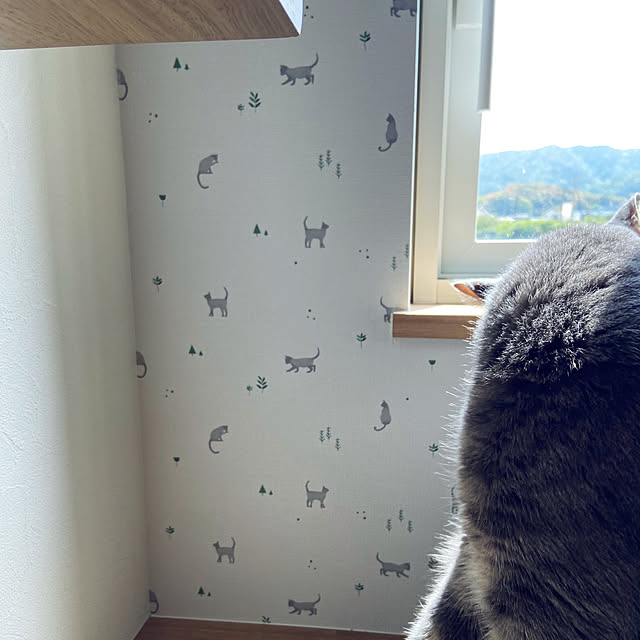 scottieeさんの部屋