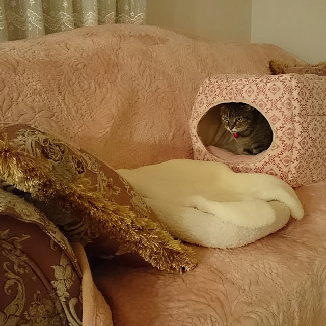 lilyさんの実例写真