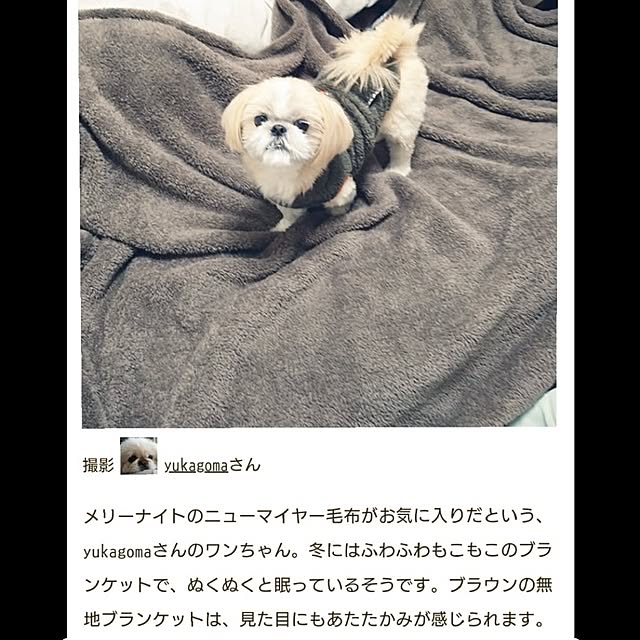 yukagomaさんの実例写真