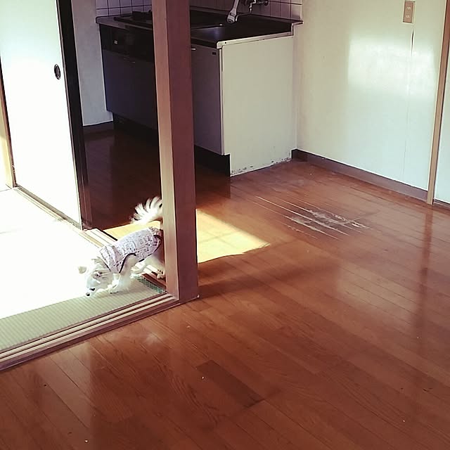 実例写真