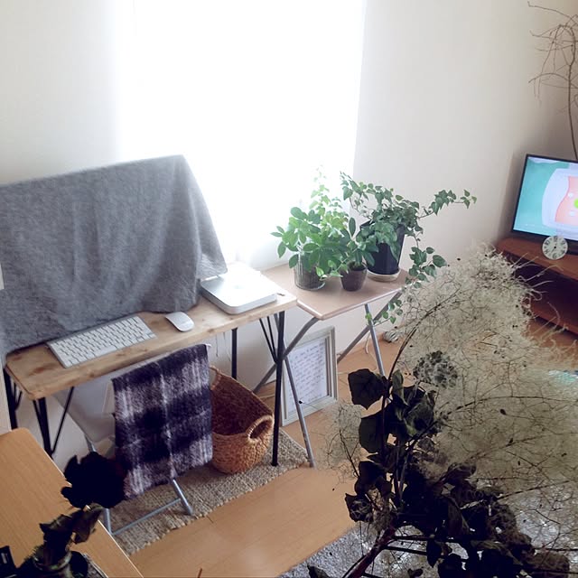 saさんの実例写真