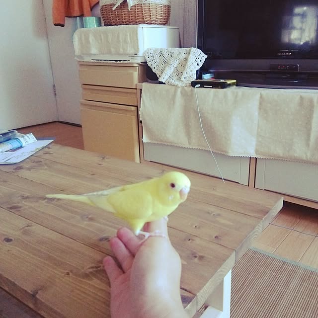 kyoppさんの実例写真